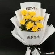 送长辈父亲花的寓意和花语是什么？