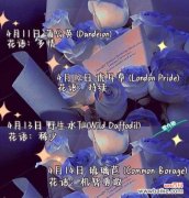 用色彩传递情感和象征意义的玫瑰花 玫瑰花的颜色与象征意义