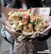 浪漫 卡布奇诺玫瑰花语的美丽寓意