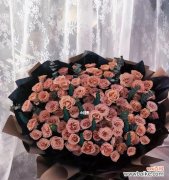 探寻卡布奇诺玫瑰的深意 卡布奇诺玫瑰花语解读