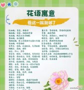 揭开绣球花背后的传说 绣球花的神秘寓意