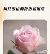 格桑花的意义与文化内涵 格桑花的象征寓意