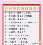 解读牡丹花语，品味中国传统美学 牡丹花的象征意义与传统文化内涵