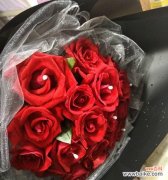 探寻花语背后的情感世界 以表示忧郁的花花语是忧郁的花