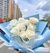 一束花背后的情感密码与象征意义 19朵玫瑰的神秘寓意