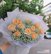 浪漫 11朵香槟玫瑰的美丽象征与祝福