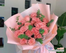 揭示康乃馨19朵的深层含义 康乃馨19朵的花语与寓意