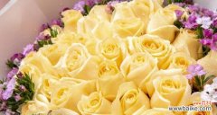 用一束玫瑰表达浓浓的爱意 62朵玫瑰的花语及其象征意义