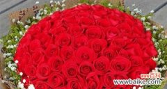 探究玫瑰花语之美丽与祝福 16朵玫瑰花的花语及意义